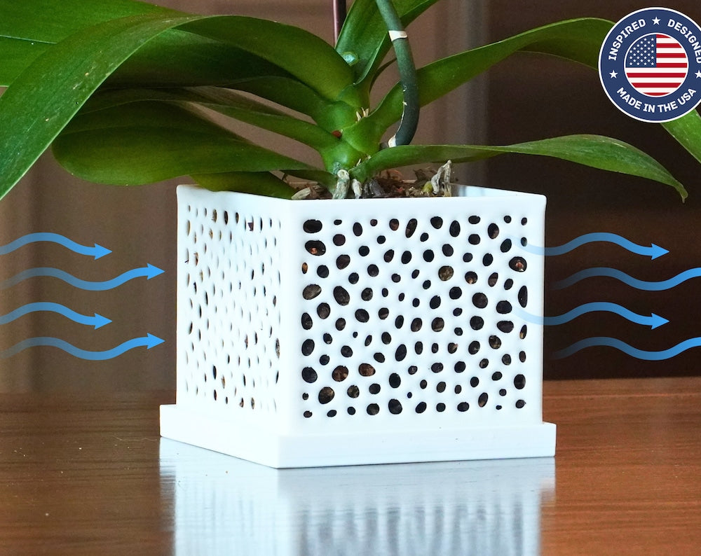 The Maple - Smooth Voronoi Square Orchid Pot