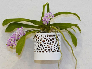 The Bay Sconce - Orchid Wall Planter with Voronoi Pattern, Self-Watering Wall Mount Planter, Modern Indoor Plant Decor