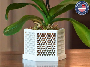 The Honeycomb - Hexagonal Orchid Pot with Holes and Drainage Tray, Ventilated Geometric Planter, Modern Indoor Garden Decor