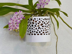The Bay Sconce - Orchid Wall Planter with Voronoi Pattern, Self-Watering Wall Mount Planter, Modern Indoor Plant Decor