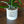 The Olive - Self-Watering Orchid Pot with Vertical Line Ventilation, Cylindrical Design with Bottom Water Reservoir, Modern Plant Pot
