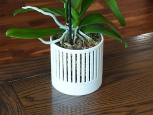 The Olive - Self-Watering Orchid Pot with Vertical Line Ventilation, Cylindrical Design with Bottom Water Reservoir, Modern Plant Pot