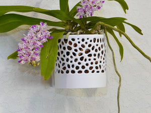 The Cypress Sconce - Orchid Wall Planter with Voronoi Pattern, Self-Watering Wall Mount Planter, Modern Indoor Plant Decor