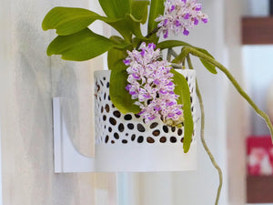 The Bay Sconce - Orchid Wall Planter with Voronoi Pattern, Self-Watering Wall Mount Planter, Modern Indoor Plant Decor