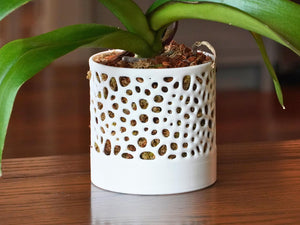 The Bay - Self-Watering Cylindrical Orchid Pot with Open Voronoi Ventilation, Bottom Water Reservoir, Modern Indoor Plant Pot