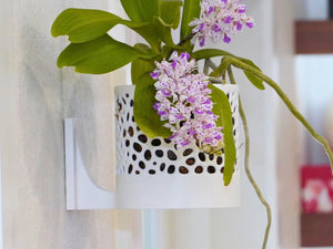 The Cypress Sconce - Orchid Wall Planter with Voronoi Pattern, Self-Watering Wall Mount Planter, Modern Indoor Plant Decor