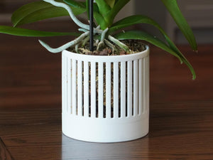 The Olive - Self-Watering Orchid Pot with Vertical Line Ventilation, Cylindrical Design with Bottom Water Reservoir, Modern Plant Pot