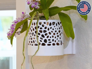 The Cypress Sconce - Orchid Wall Planter with Voronoi Pattern, Self-Watering Wall Mount Planter, Modern Indoor Plant Decor