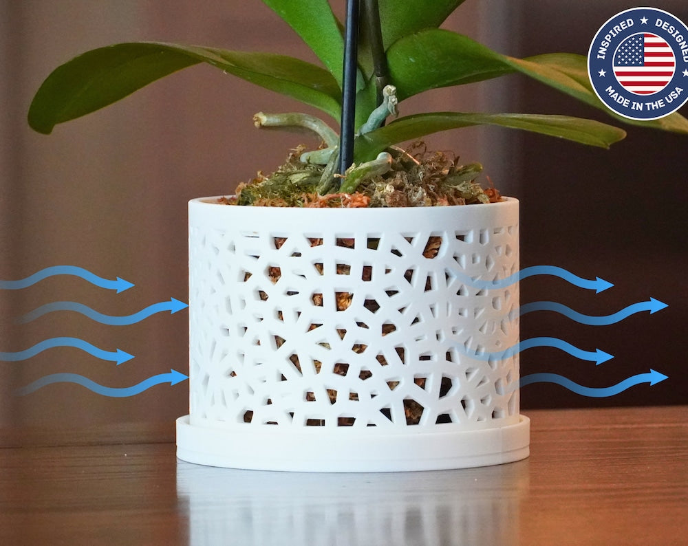 The Oak - Geometric Voronoi Cylinder Orchid Pot